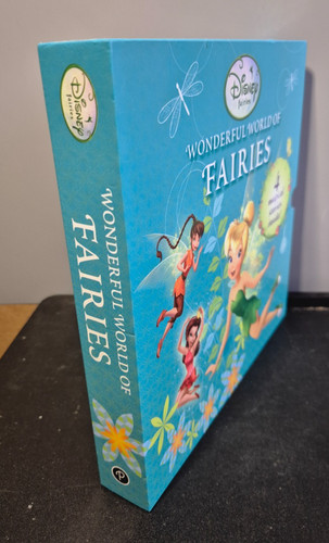 Disney fairies wonderful - wonderful, world