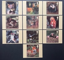 2004 woodland animals phq - animals,