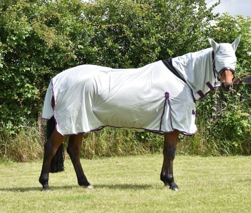 Mesh fly rug - fly, all