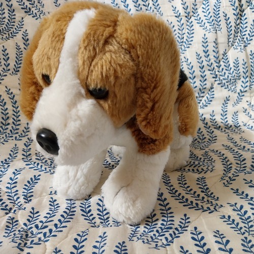 Toby the beagle keel - the,