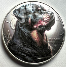 Rottweiler  - American Silver
