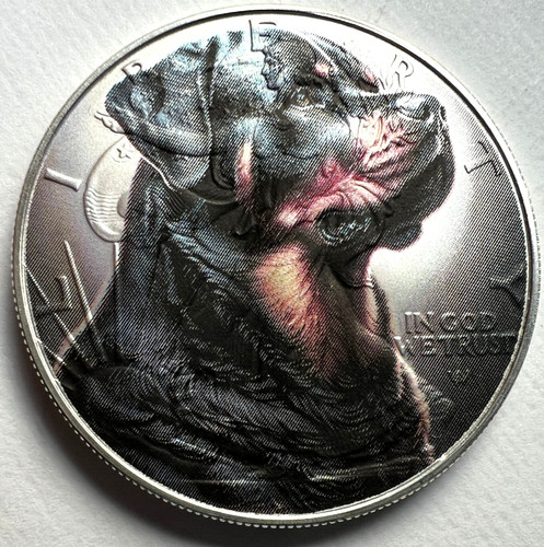 Rottweiler american silver - rottweiler,