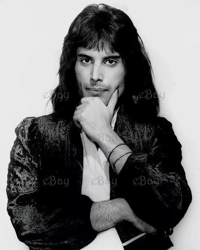 Freddie mercury singer glossy - mercury,