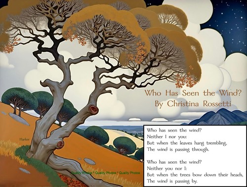 Who has seen the - who,