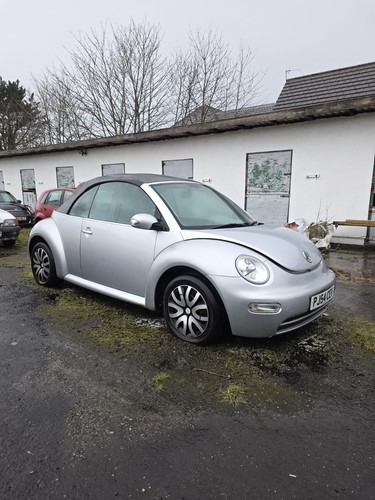Beetle convertible 6 - beetle,