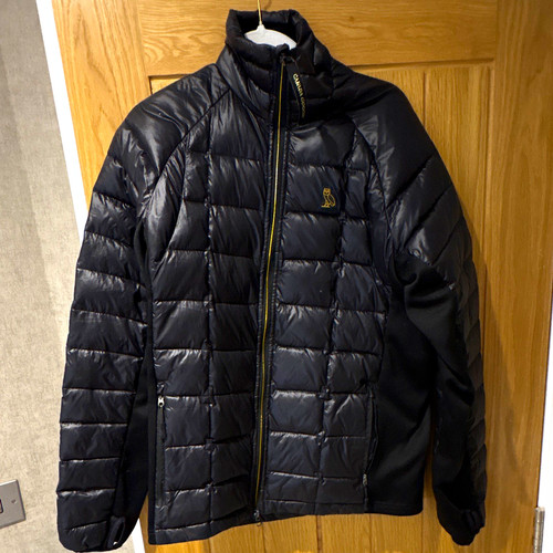 Canada goose ovo - goose,