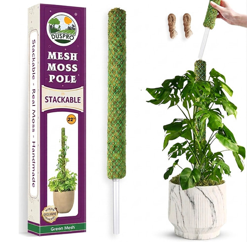 Moss pole climbing plants - moss,