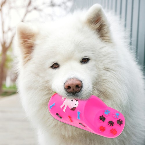 2pcs reusable dog - 2pcs, chewing