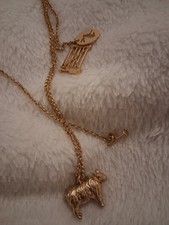 Gold Tone Beautiful Joules