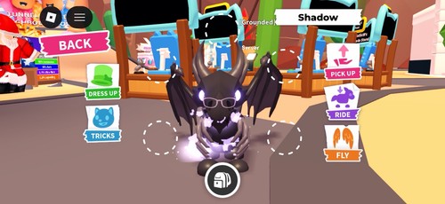 Fly ride shadow - shadow, dragon