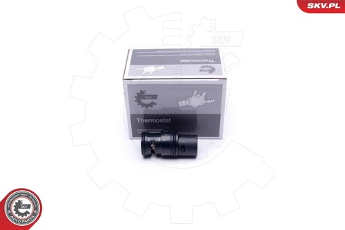 Fits skv germany - fits,