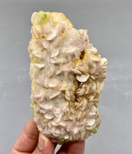 198 grams natural - 198,