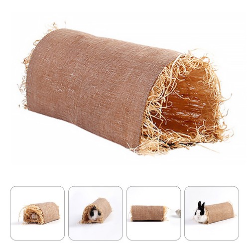 Guinea pig hideout pet - guinea,