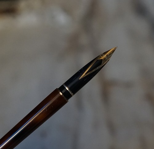 Rare fountain pen - rare,