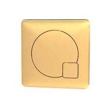 Hudson Reed Contemporary Brushed Brass Dual Flush Plate Toilet Push Button