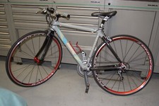 Condor Bellisima Ladies sports