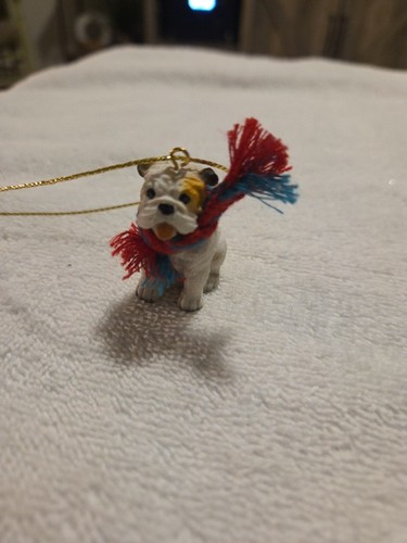 Tiny minature bulldog - tiny,