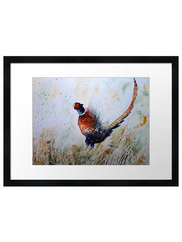 Pheasant watercolor framed - pheasant,