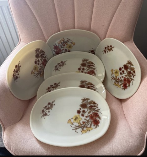 Pyrex harvest spray - set, 6