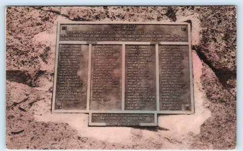 Truckee tablet murphy - tablet,