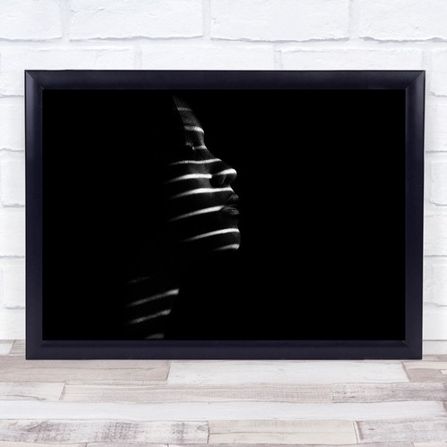 Gendis zebra light blinds - light,