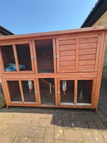 Large rabbit hutch - rabbit, pig