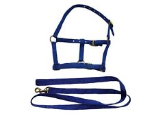 Mini Headcollar + Lead Rein