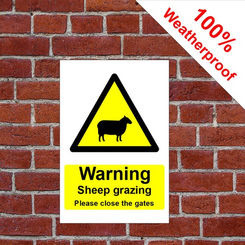 Warning sheep grazing - , please