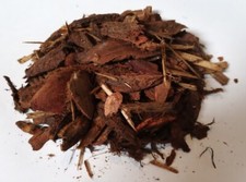orchid and Reptile bark Chips