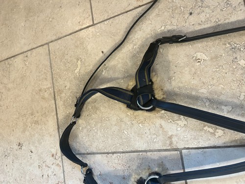 Jeffries point breastplate - point,