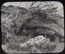 RARE Glass Magic Lantern Slide MRS LIVINGSTONES GRAVE SHUPANGA HOUSE C1890 PHOTO