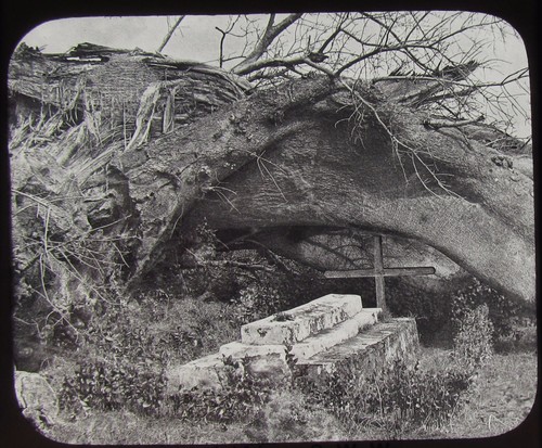 Rare glass magic lantern slide - rare,