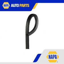 Drive Belt fits NISSAN PRAIRIE