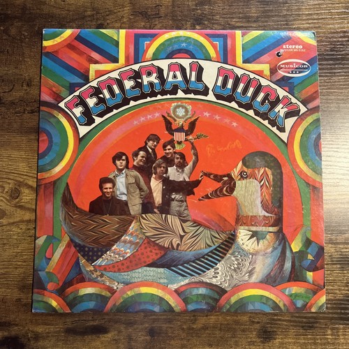 Federal duck - -, (