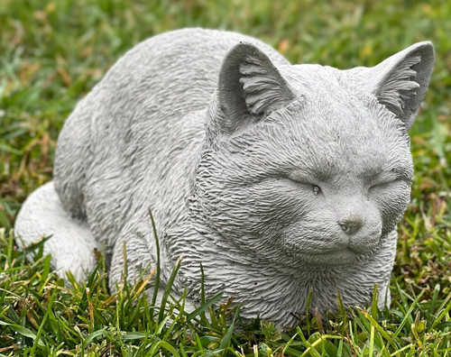 Indoor and outdoor - , cat