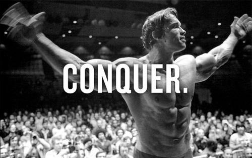 Arnold schwarzenegger - arnold,
