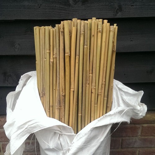 Bamboo canes sticks 6ft - canes/sticks,
