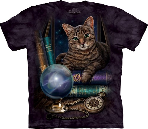 The mountain cat fortune - the,