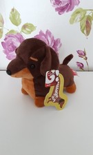 Brown Dachshund Sausage Dog
