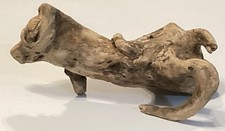 Natural driftwood root - root, animal