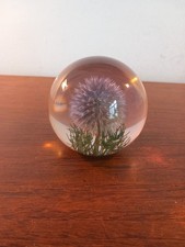 VINTAGE HIPPOCAMPUS EMBEDMENT