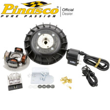 25356853 Pinasco Flytech 12V Set Ignition Electronics 1.6KG Vespa Ss 180