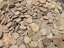 Uncleaned unresearched Ancient