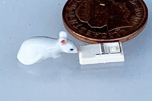 Dolls house ceramic mouse - house,