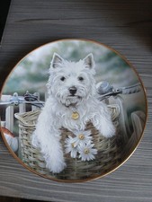 Danbury Mint Dog Plate - WESTIES "Hitching A Ride" By Paul Doyle