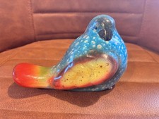 Colourful Bird Bright