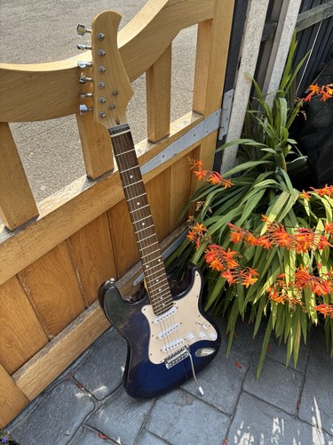 Electric guitar project - electric,