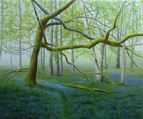 Bluebells stackpole woods - bluebells, in