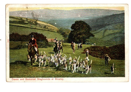Devon and somerset staghounds - and,