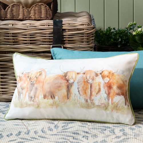 Voyage maison highland cattle - highland,